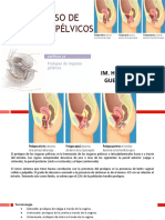 Prolapso de Organos Pelvicos