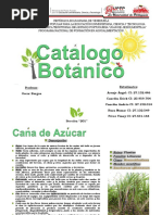 Catalogo Botanico