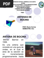 Antena de Bocina