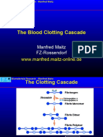 The Blood Clotting Cascade: WWW - Manfred.maitz-Online - de