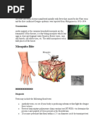 Dengue Fever Health Teaching