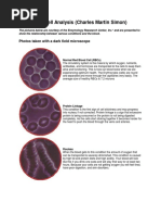 Live Blood Analysis