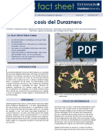 Verrucosis Del Duraznero PDF