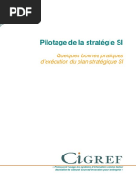 2008 Pilotage Strategie SI