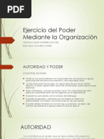 Ejercicio Del Poder Mediante La Organización