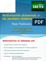 Curs Fetal Abdominal Anomalies