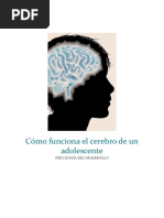 Informe - Cómo Funciona El Cerebro de Un Adolescente