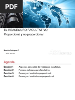 Reaseguro Facultativo ACTER 052016