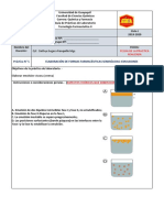 Formato Guia Practicas Emulsiones - 5