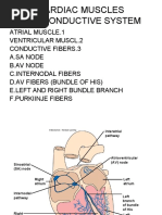 Physiology - Cardivascular Sys. (C'TD)