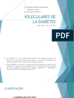 Bases Moleculares de La Diabetes