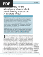 Timms Carus - Lit Review On Mirror Therapy To Alleviate Phantom Limb Pain