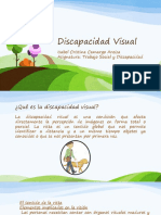 Discapacidad Visual