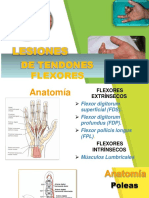 Lesiones Del Tendón Flexor