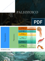 Paleozoico 