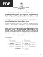 Práctica 5 Transporte de Membranas