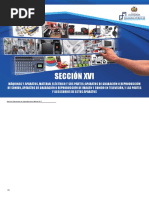 Sección 16 PDF