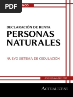 Libro Blanco Declaracion Renta Personas Naturales