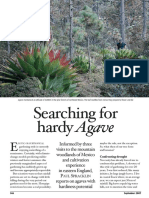 Searching For Hardy Agave