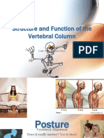 Structure and Function of The Vertebral Column: Your Subtitle Goes Here