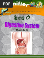 Workbook # Digestive System PDF