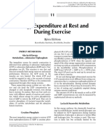 Energy Expenditure at Rest and During Exercise