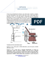 06 - Leme e Seus Efeitos