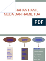 Perdarahan Hamil Muda Dan Hamil Tua