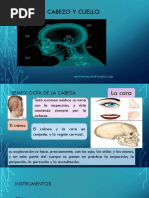 Semiologia Cabeza y Cuello....