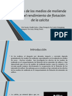 Disertacion de Flotacion