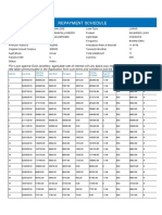 Repayment Report