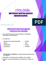 Tincion Histologia