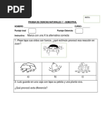 Prueba de Ciencias Naturales Semestral Ok