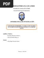 Cuidados de Enfermería y Satisfacción Materna en El Servicio de Inmunizaciones en Una Red de Salud-Huancayo 2019