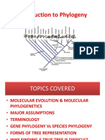 Introduction To Phylogeny