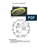 Classification of Human Parasites