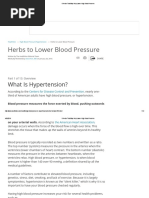 8 Herbs That May Help Lower High Blood Pressure