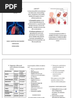 Enfermedad Pulmonar Obstructiva Crónica Folleto