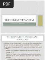 The Digestive System: Chapter 2, Section 2.2