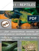 Reptiles Especialidad Desarrollada Club de Conquistadores