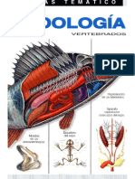 Zoologia Vertebrados - Luis Blas Aritio PDF