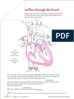 How Does Blood Flow Through The Heart