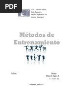 Métodos de Entrenamiento PDF