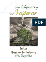 033 - Tiemposturbulentos PDF