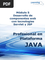 PDF M5 Java