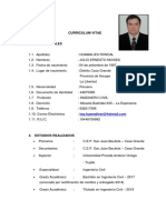 CV Julio Ernesto Moises Huamalies Roncal 2019-1