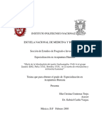 PDF Documento