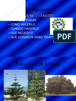 6-Podas y Manejo de Plantaciones