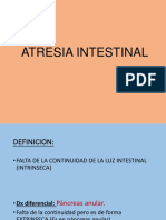 Atresia Intestinal