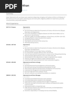 Examples Eight VisualCV Resume